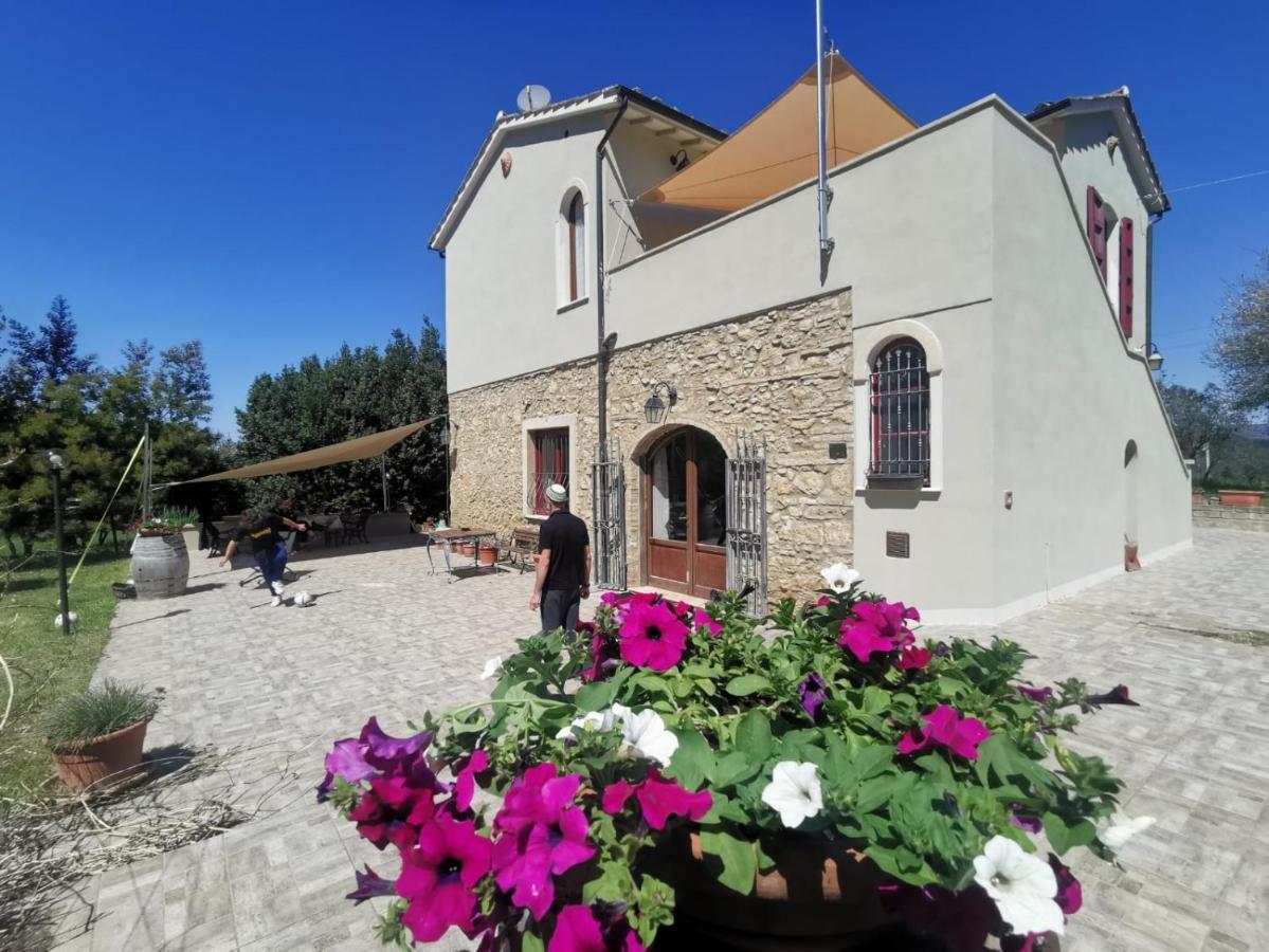 Le Giuncaie - Vigna Con Alloggio Montescudaio Exterior foto