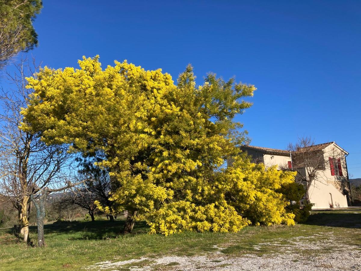 Le Giuncaie - Vigna Con Alloggio Montescudaio Exterior foto
