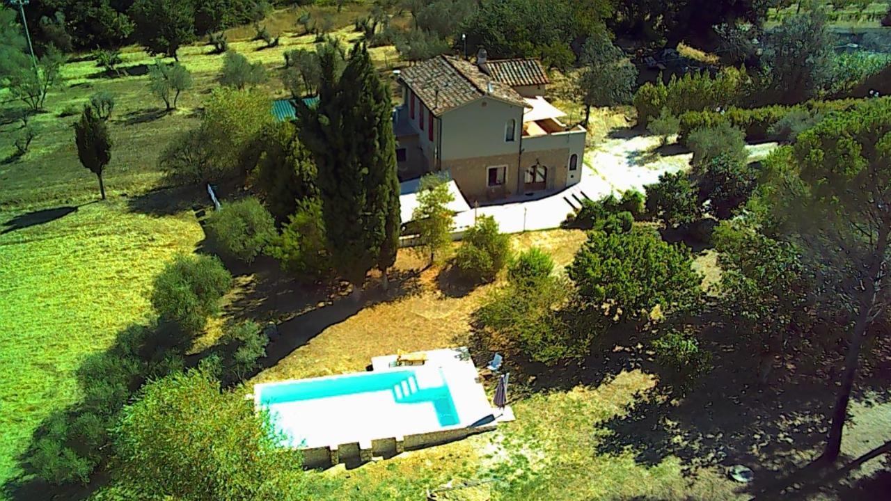 Le Giuncaie - Vigna Con Alloggio Montescudaio Exterior foto