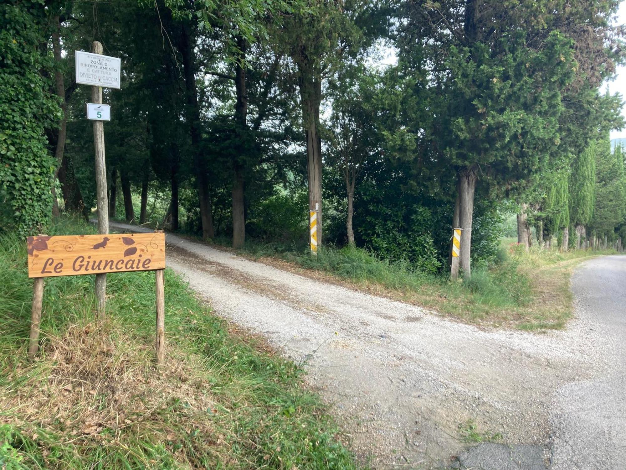 Le Giuncaie - Vigna Con Alloggio Montescudaio Exterior foto